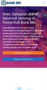 20 Syarat Dan Cara Pengajuan KUR BRI Online 2024 - CICILAN.ID