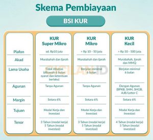 10 Syarat Pinjaman KUR Bank BSI dan Cara Pengajuan | CICILAN.ID